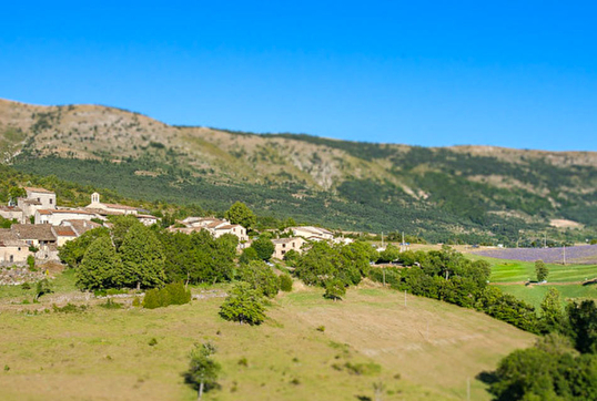 Où photographier la lavande en Pays Diois dans la Drôme