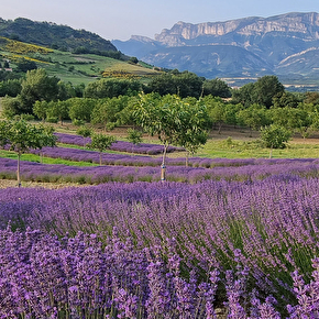 Que Faire Rochefourchat En Pays Diois Dans La Dr Me