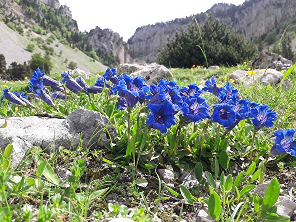 Pison - Pas de Chabrinel