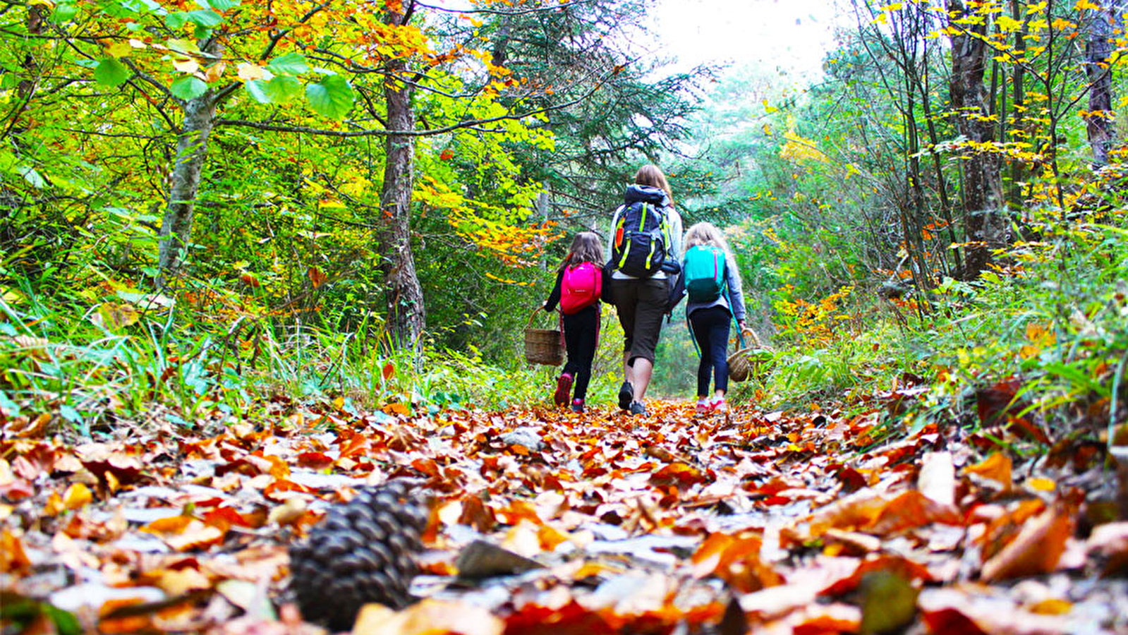 Rando d'automne