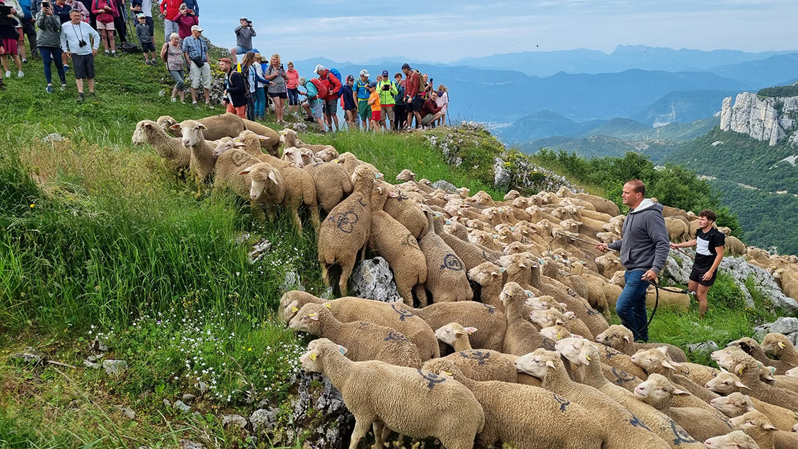 Fête de la Transhumance