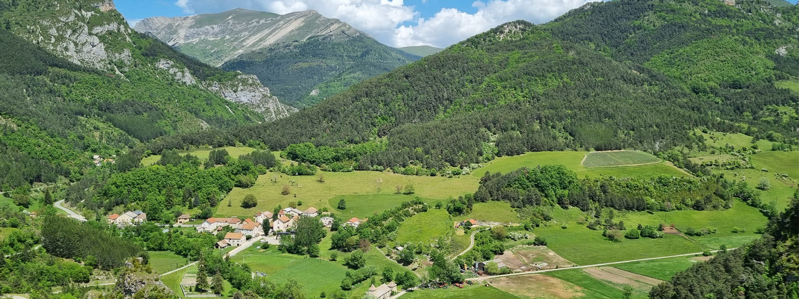 Glandage