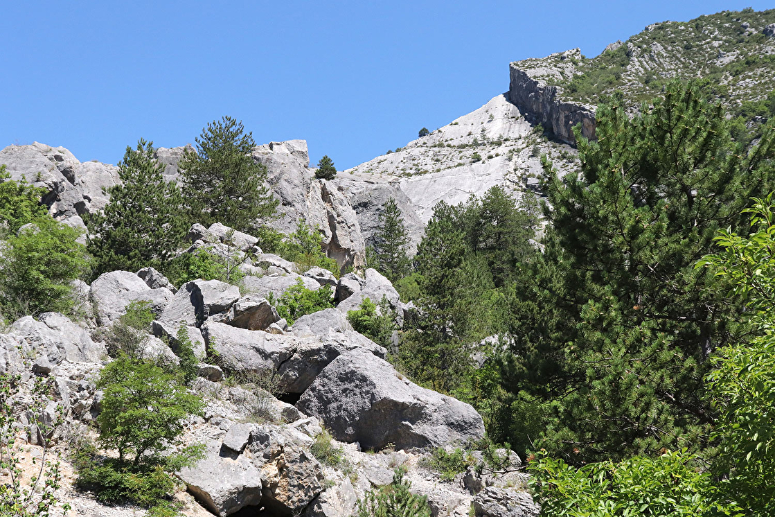 Luc-en-Diois