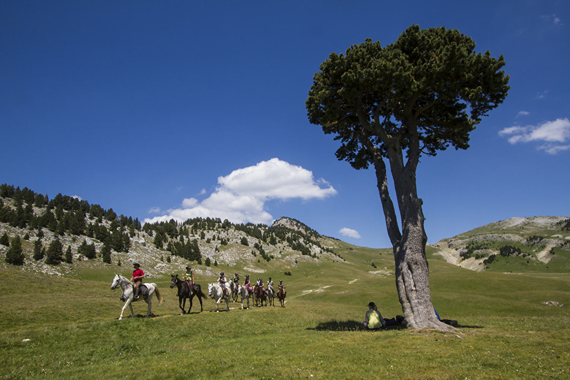 Randonnée à cheval