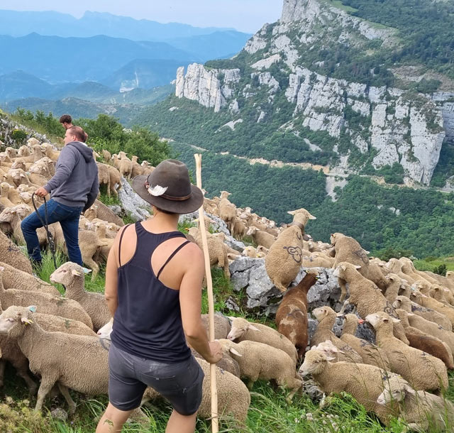 Transhumance