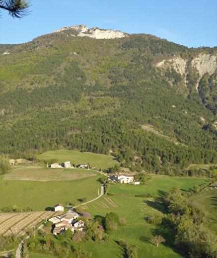 Gîte du Petit Viopis