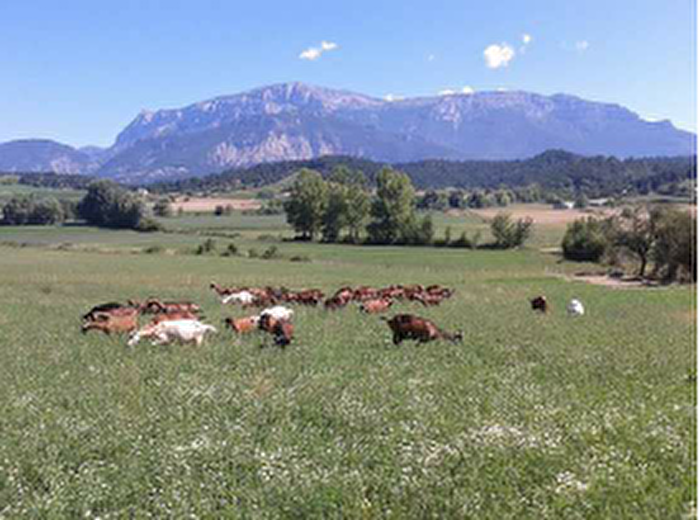 De Ferme en Ferme - Le Mas d'Ambane