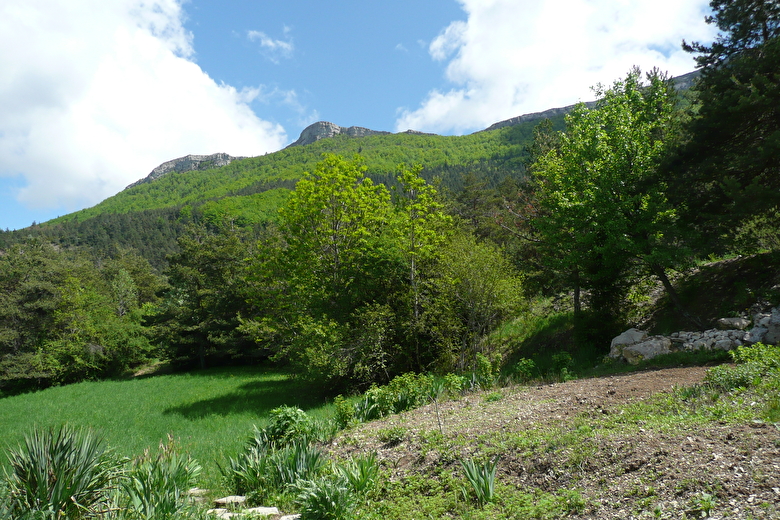 Montagne de Tarsimoure