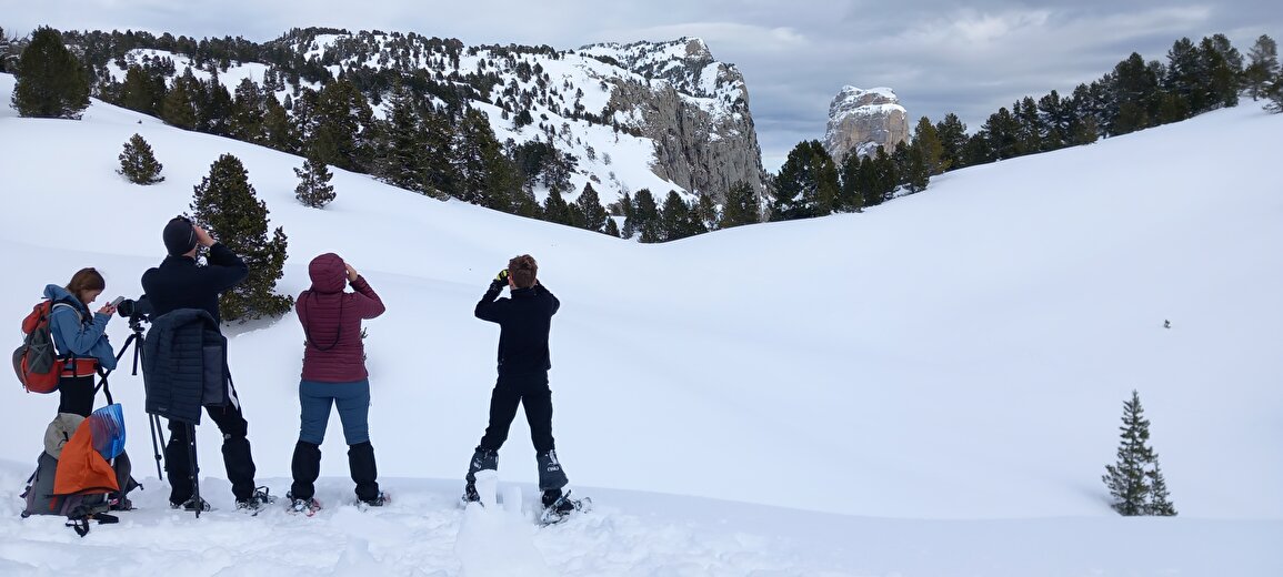 Randos en raquettes avec Christophe Pelet
