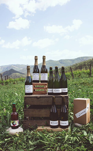 Domaine les Genêts - Cave Thierry Marcel