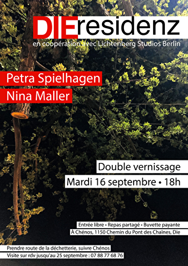 Double vernissage chez DIEresidenz