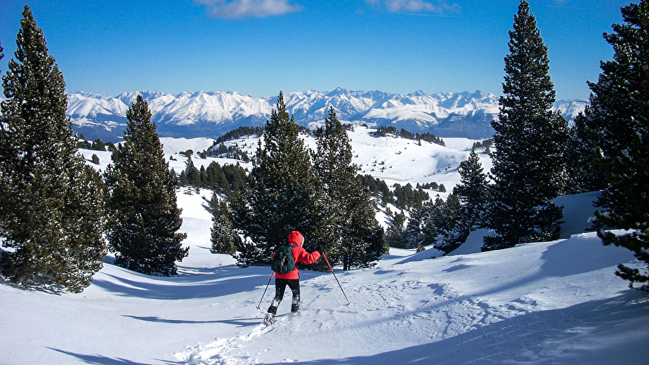 Sur les Hauts Plateaux, avec vue sur le Dévoluy