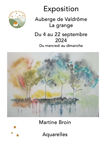 Exposition - Martine Broin