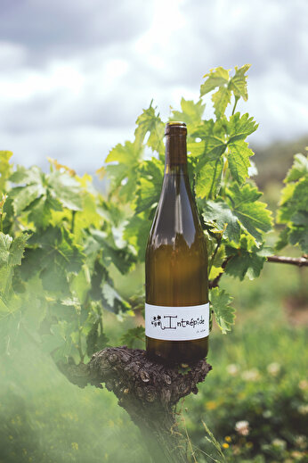 Domaine les Genêts - Cave Thierry Marcel