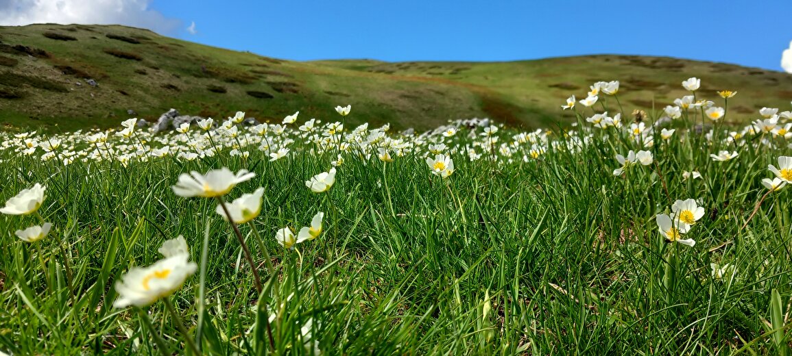 Rando sur mesure avec Christophe Pelet
