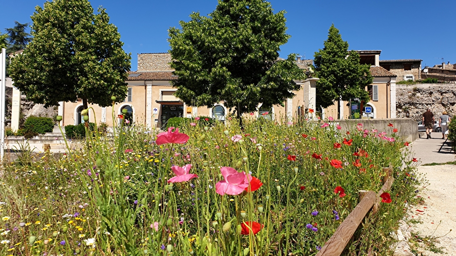 Office de Tourisme du Pays Diois - bureau de Die