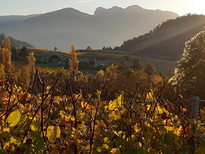 Gîte du Petit Viopis