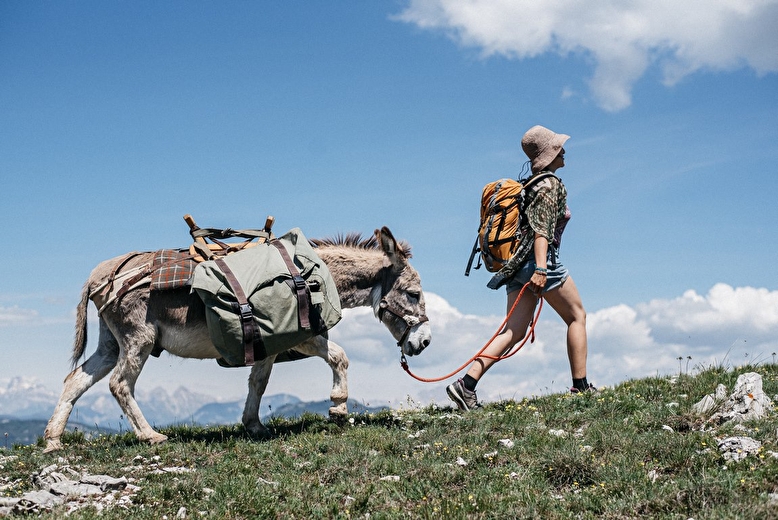 Location d'ânes de bât pour randonnées pédestres avec Vercors Escapade