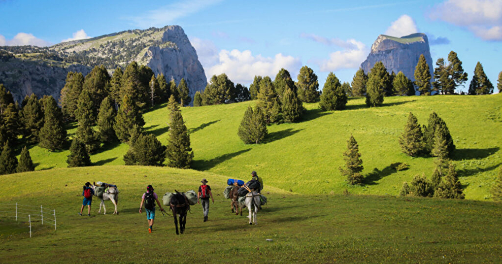 Little Nomads in Diois