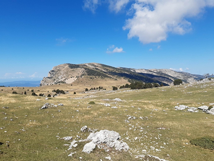 La réserve des Hauts-Plateaux du Vercors