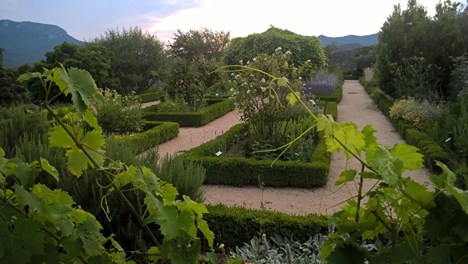 Découverte du jardin botanique de l'Ancien Monastère de Sainte-Croix avec Lise-May