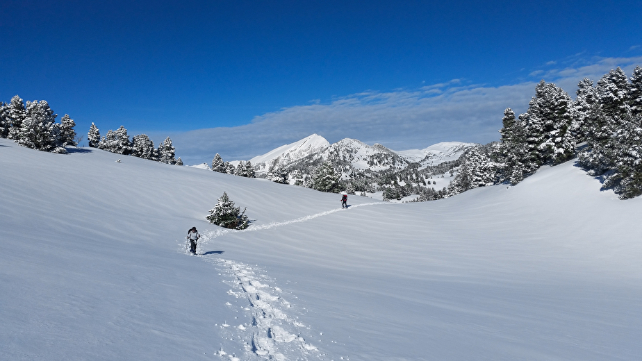 Belle neige et décor de rêve, au fond le Grand Veymont