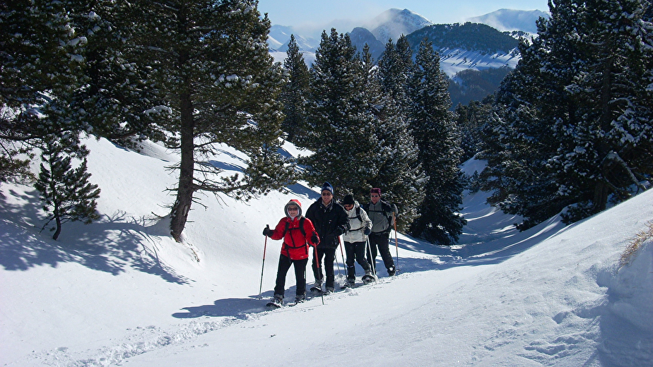 Balade bucolique dans les combes et vallons du Vercors