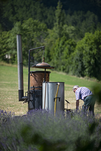 Atelier de Distillation à l'Ancienne de la Lavande au Vercors