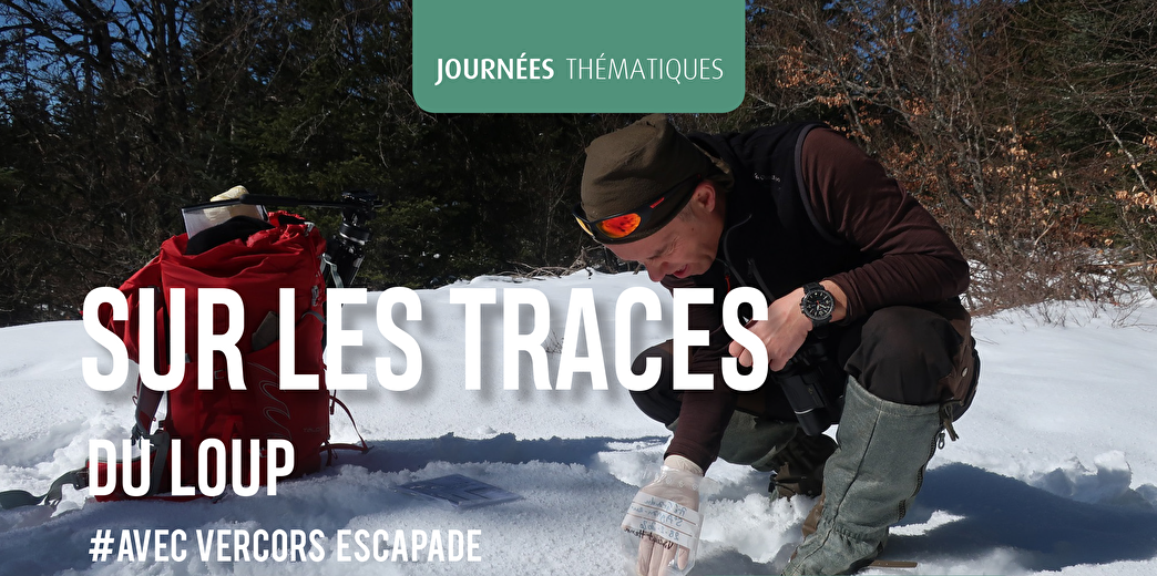 Raquettes - Sur les traces du loup