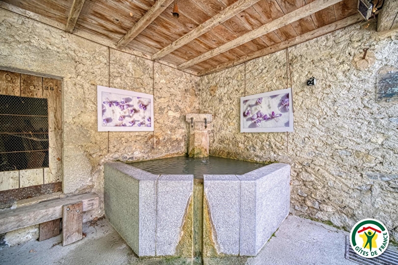 La fontaine