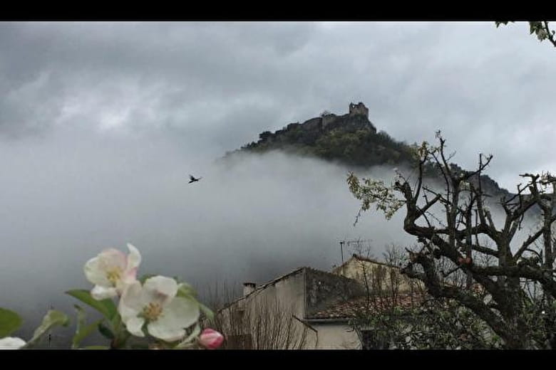 Le château de Cornillon et un vautour vu depuis le jardin.