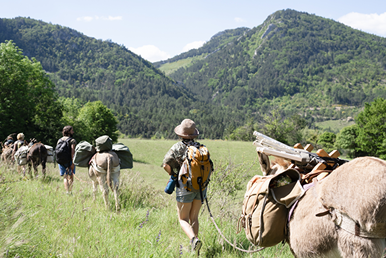 Location d'ânes de bât pour randonnées pédestres avec Vercors Escapade