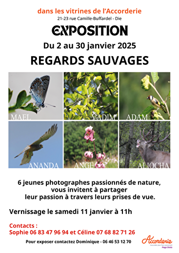 Exposition Photos - Regards Sauvages