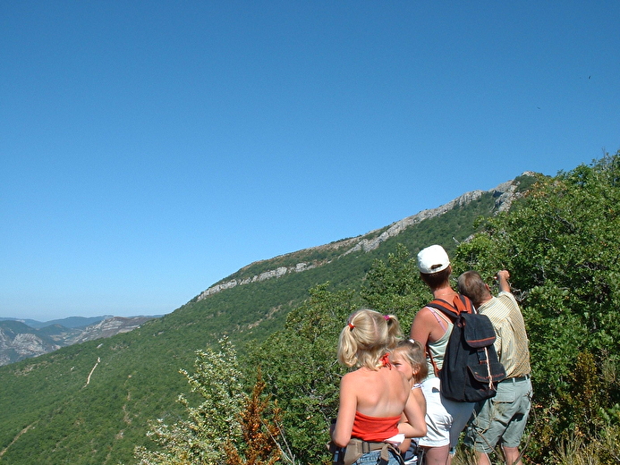 Camping la Ferme de Clareau