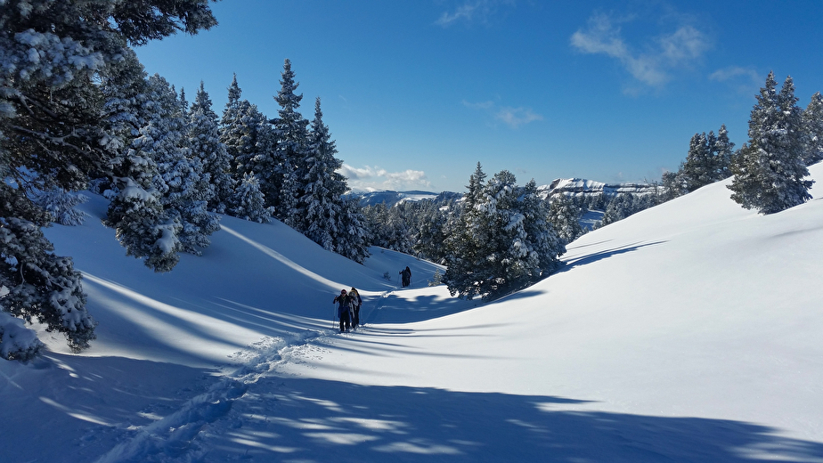 Les doux vallonnements du plateau du Vercors