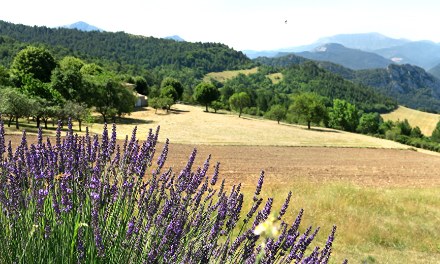 La Grange aux volets bleus