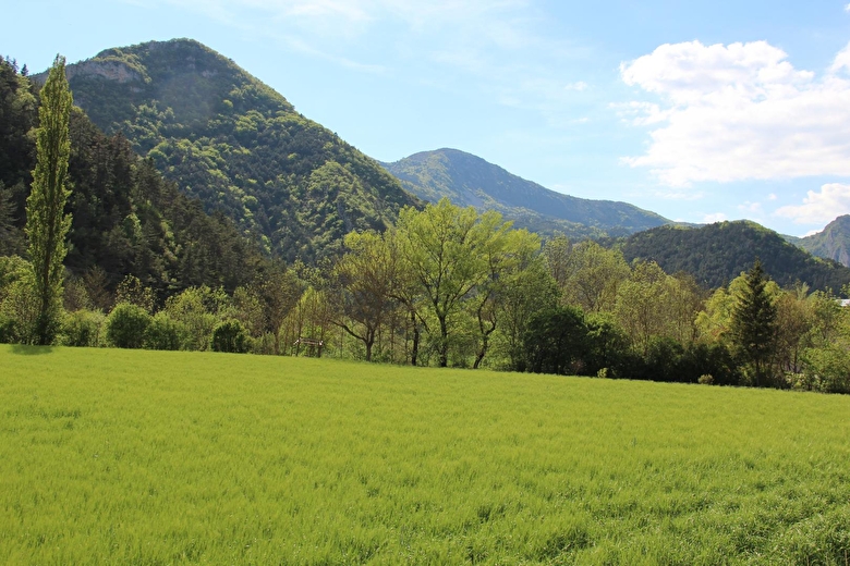 Vue du gite