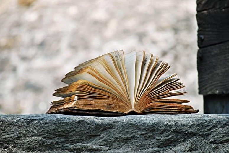 Lecture en public - Rencontre avec Daniel Pennac