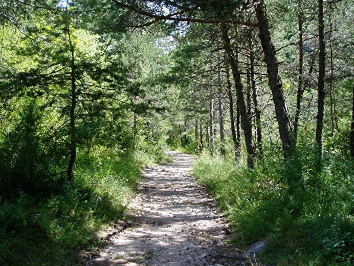 Sentier de randonnée aux alentours