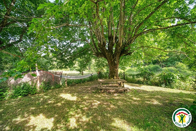 Le jardin