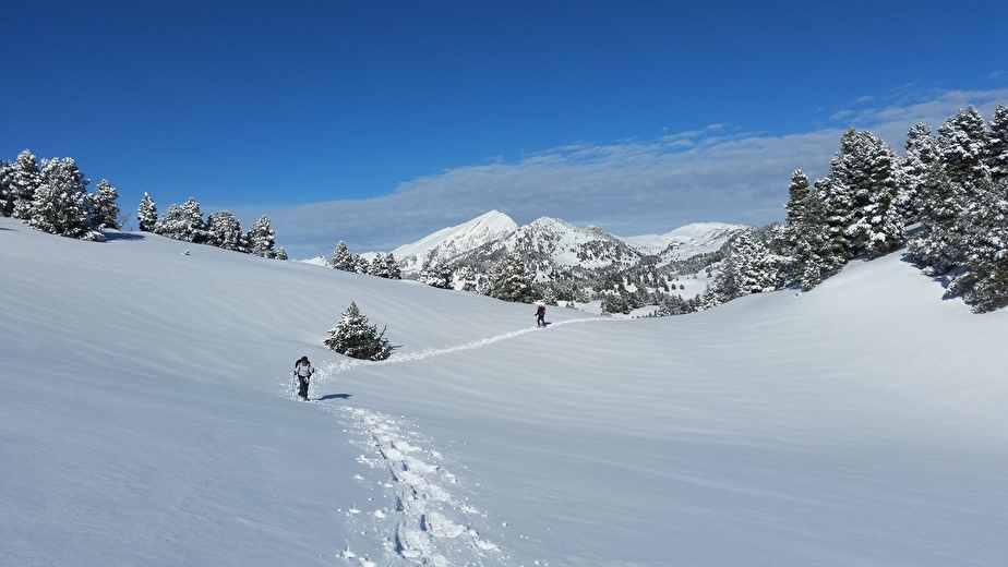 Bureau Montagne Drôme Vercors