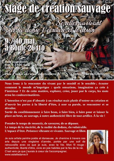 Stage - Création sauvage