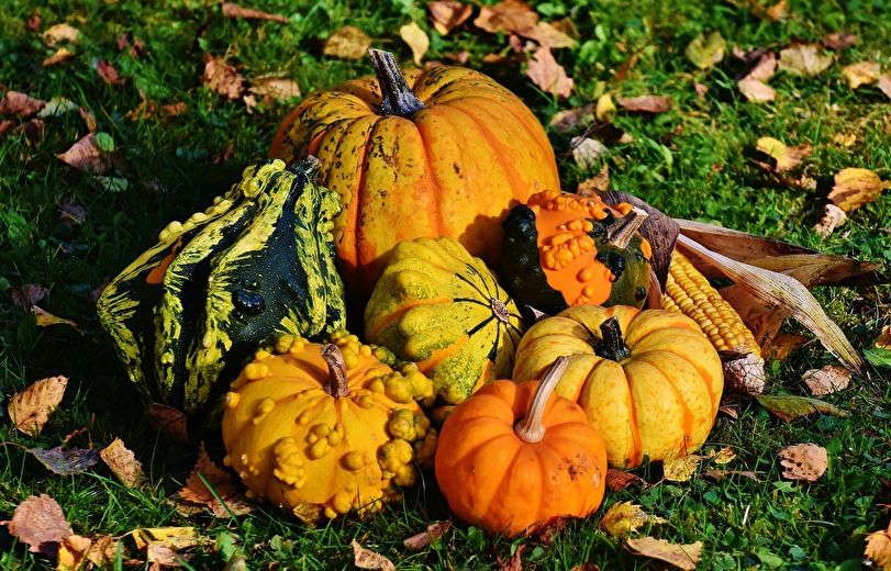 Marché d'automne
