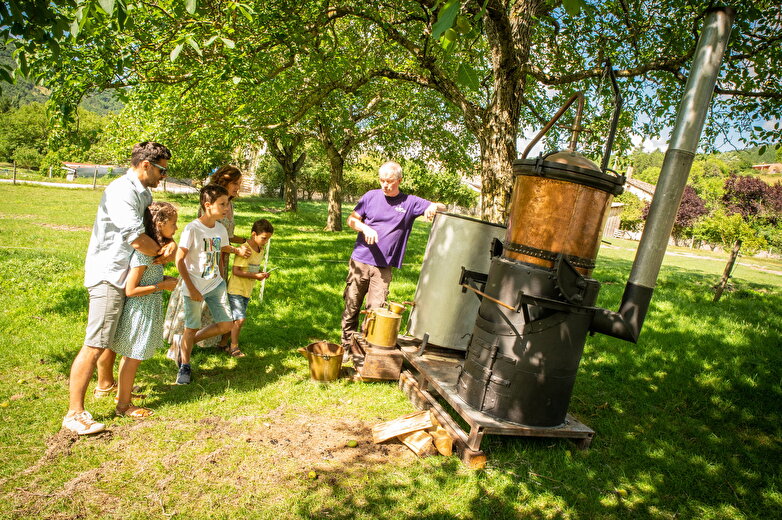 Découverte familiale des anciens alambics