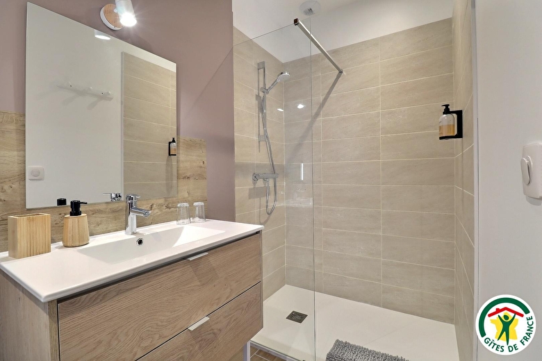 Salle d'eau : douche italienne, lavabo, wc