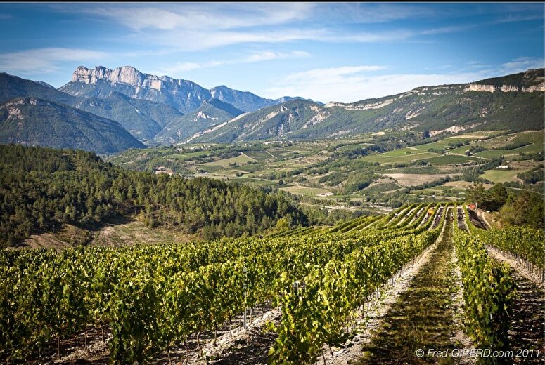 De Ferme en Ferme - GAEC des Adrets / Cave Maillefaud