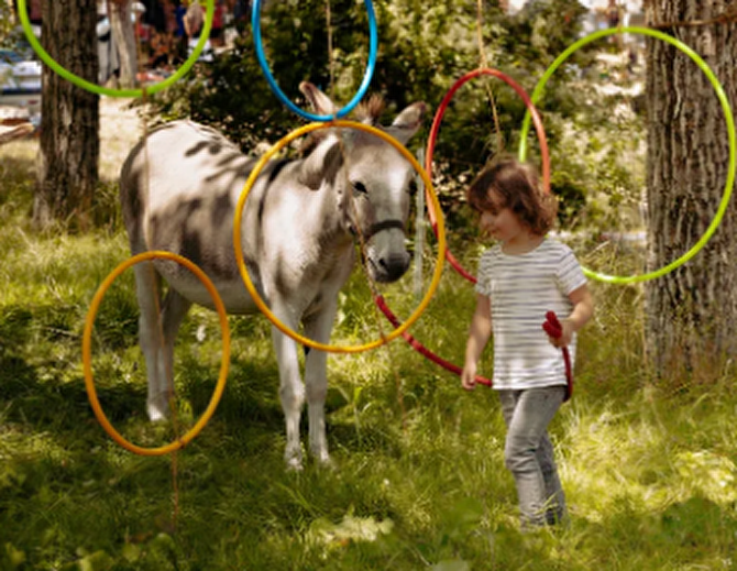 Découverte des ânes autour d'atlier à franchir