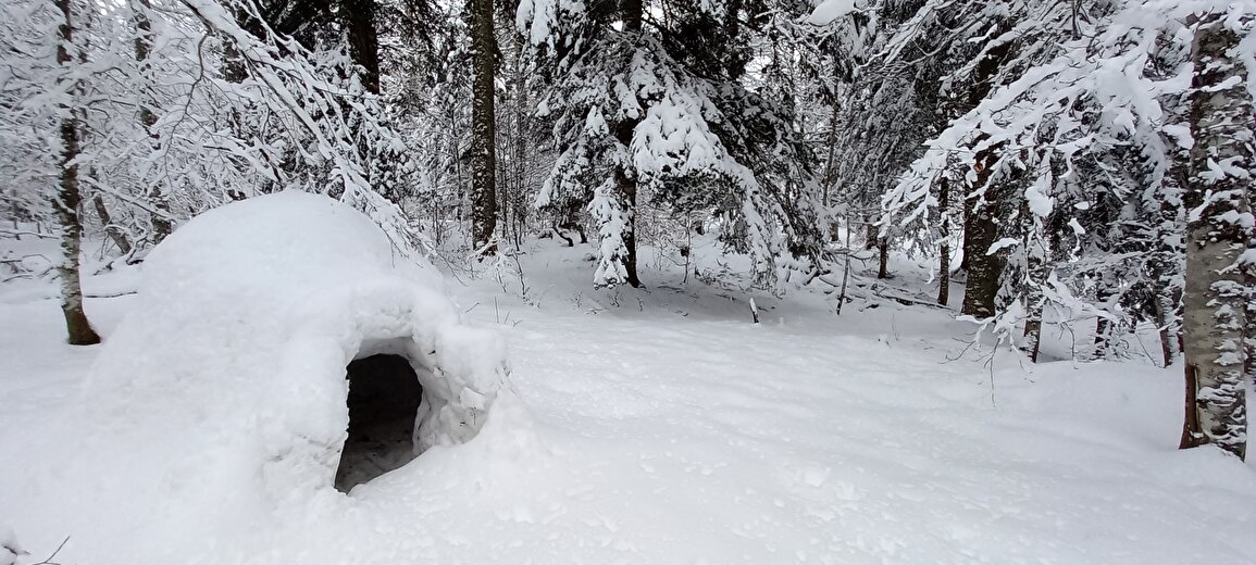 Rando en raquettes - Pistes et traces en forêt du Vercors avec Christophe Pelet