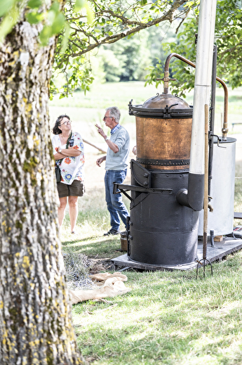 Atelier de Distillation à l'Ancienne de la Lavande au Vercors