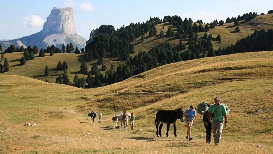 De crêtes en plateaux avec des ânes